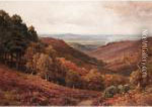 The Weald From Arundel Park Oil Painting - Harry Sutton Palmer