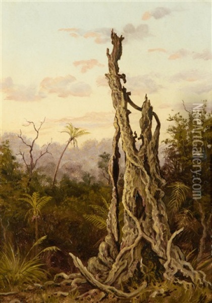 Rata Tree, New Zealand Oil Painting - Charles Gordon-Frazer