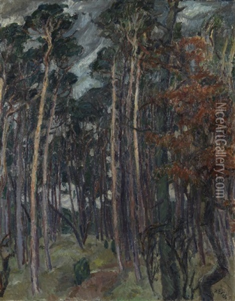 Hermsdorfer Wald Am Grauen Tag Oil Painting - Max Beckmann
