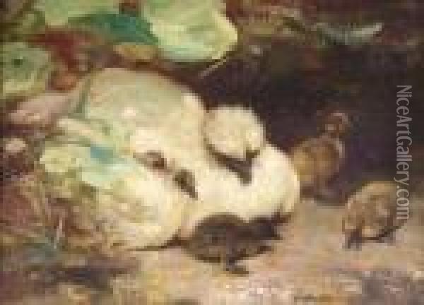 Silkie And Ducklings Oil Painting - William Walls