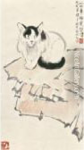 Cat Oil Painting - Xu Beihong