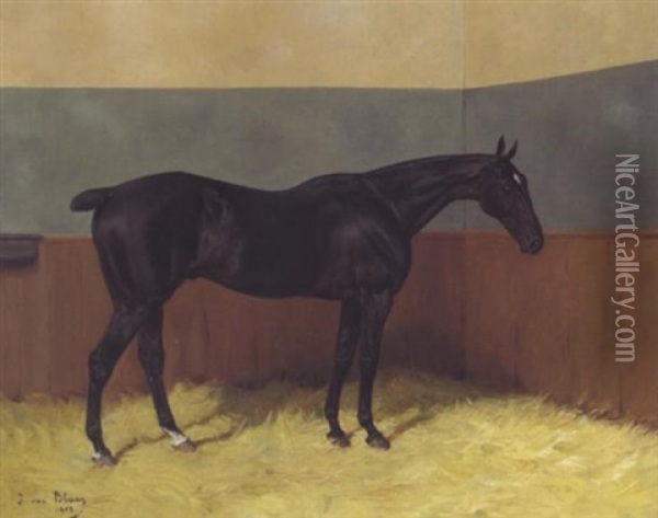 Sportpferd Im Stall Oil Painting - Julius von Blaas