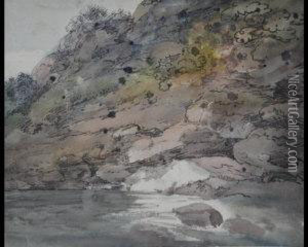 Study Ofa River Bank Oil Painting - Thomas, Dr Munro