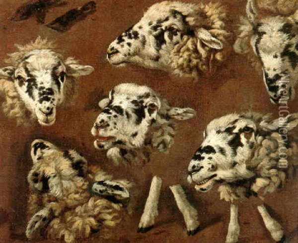 Heads Of Sheep Oil Painting - Johann Melchior Roos