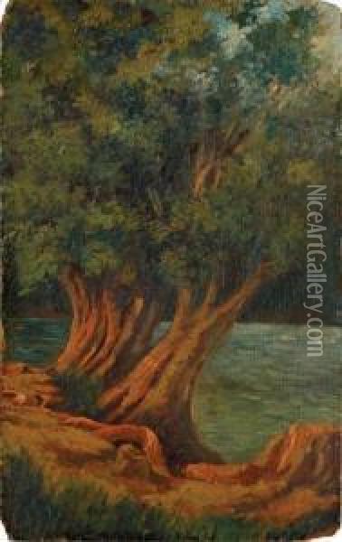 Rincon Del Lago De Chapultepec Oil Painting - Joaquin Clausell