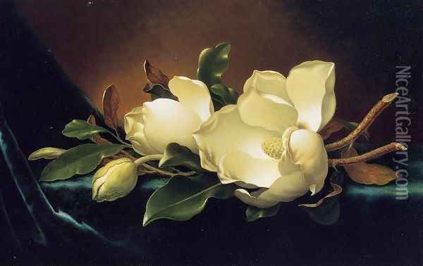 Two Magnolias And A Bud On Teal Velvet Oil Painting - Martin Johnson Heade