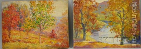 Lakeside View Oil Painting - Paul Saling