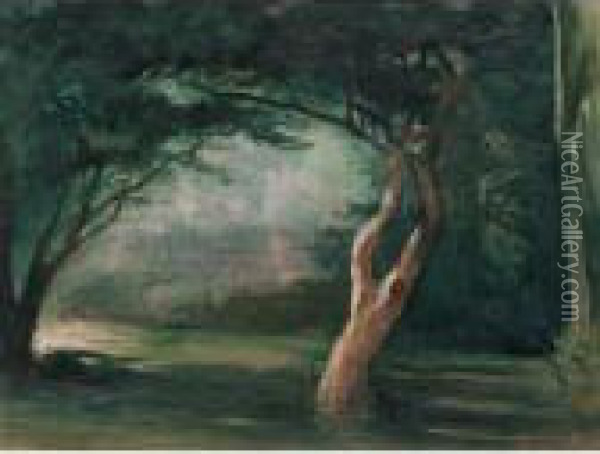 Study Of Trees In Moonlight, Honolulu, Hawaii Oil Painting - John La Farge