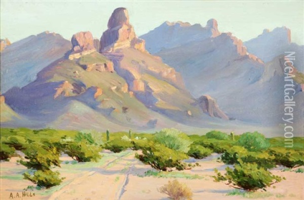 Montezuma's Head - Arizona Oil Painting - Anna Althea Hills