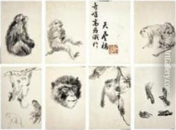 Sketches Of Monkey Oil Painting - Gao Qifeng