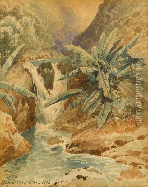 Palms By A Waterfall Oil Painting - August Lohr