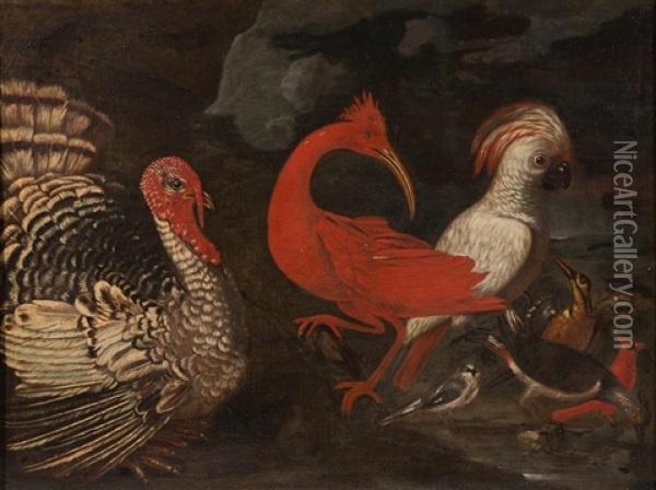 Still Life With Birds Oil Painting - Melchior de Hondecoeter