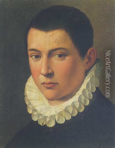 Portrait Of A Boy Wearing A White Ruff Oil Painting - Alessandro di Cristofano Allori