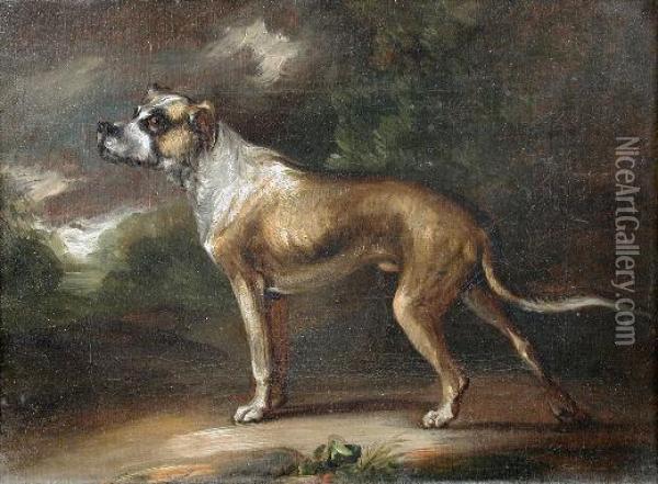 Study Of The Goubourne Mastiff Oil Painting - Philip Reinagle