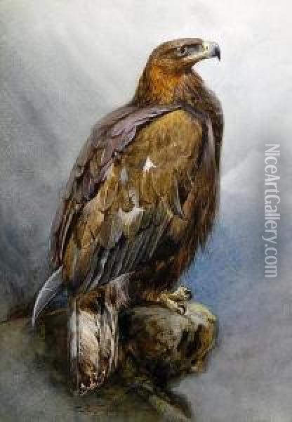 Golden Eagle Oil Painting - Charles Whymper