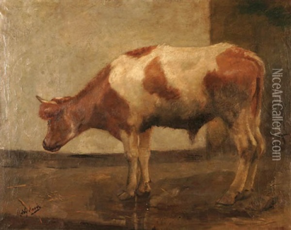 A Cow Oil Painting - Maurits Niekerk