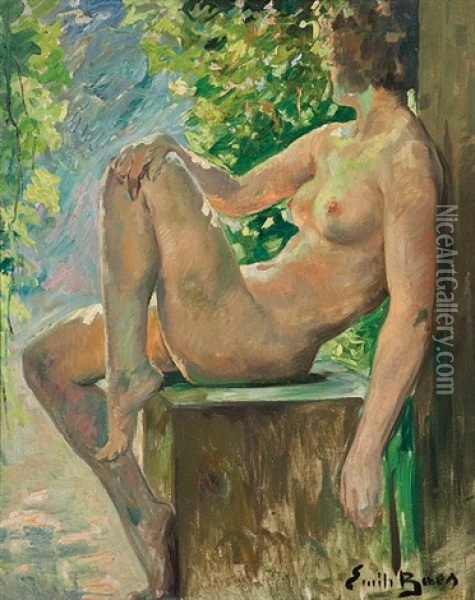 Nude In The Sun Oil Painting - Emile Baes