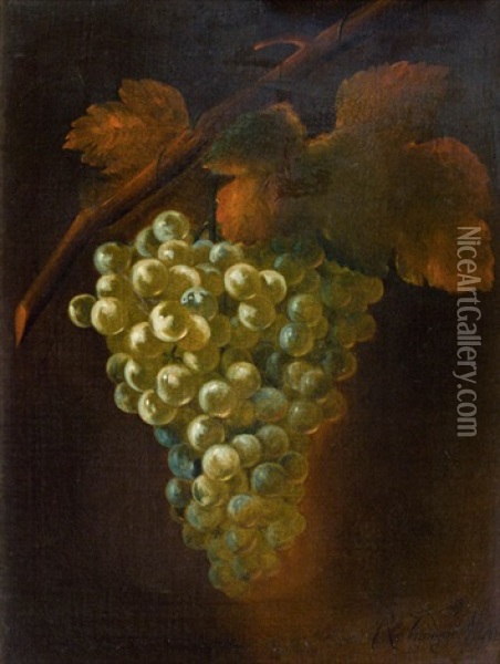 Weintraube Oil Painting - Robert Van Der Myn
