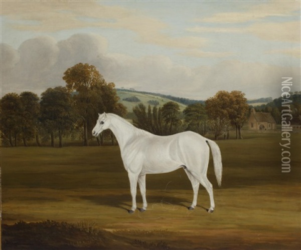 A White Horse In A Landscape Oil Painting - William Nedham