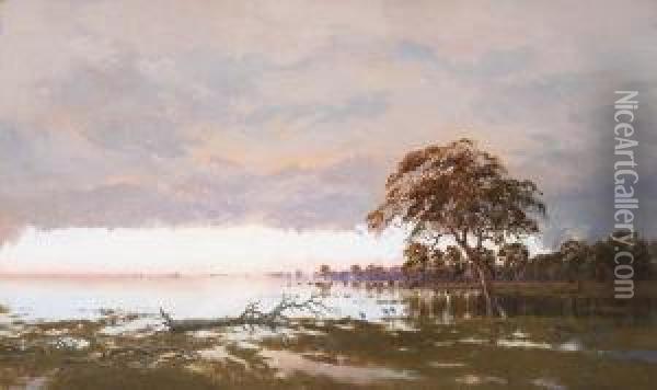 The Flood On The Darling River, New South Wales Oil Painting - William Charles Piguenit
