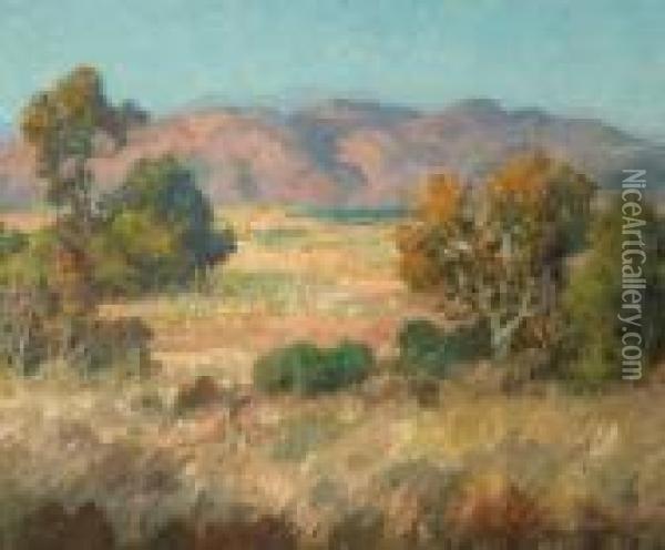 California Landscape, Hills Above San Diego Oil Painting - Maurice Braun