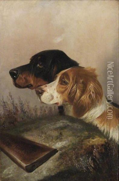 Head And Shoulder Portraits Of Gun Dogs Oil Painting - Colin Graeme Roe
