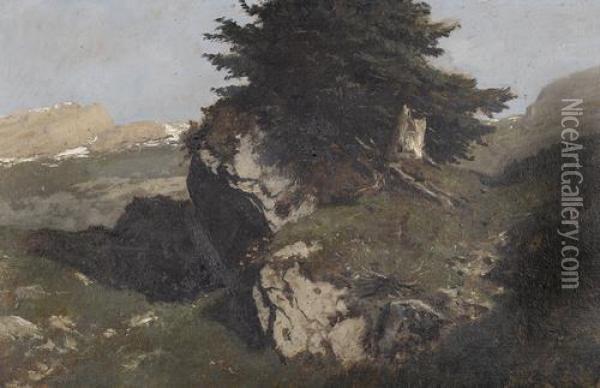 Felsblock Mit Arve Oil Painting - Gustave Castan