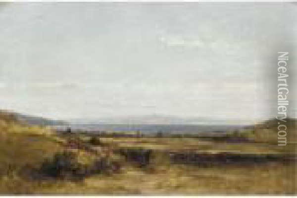 Coastal View Oil Painting - James Poole