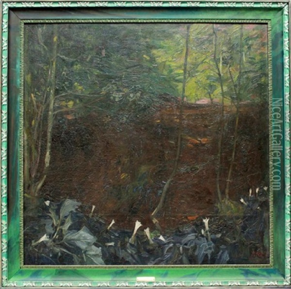 Grosformatige Darstellung Eines Waldinneren Mit Tumpel Oil Painting - Waldemar Roesler