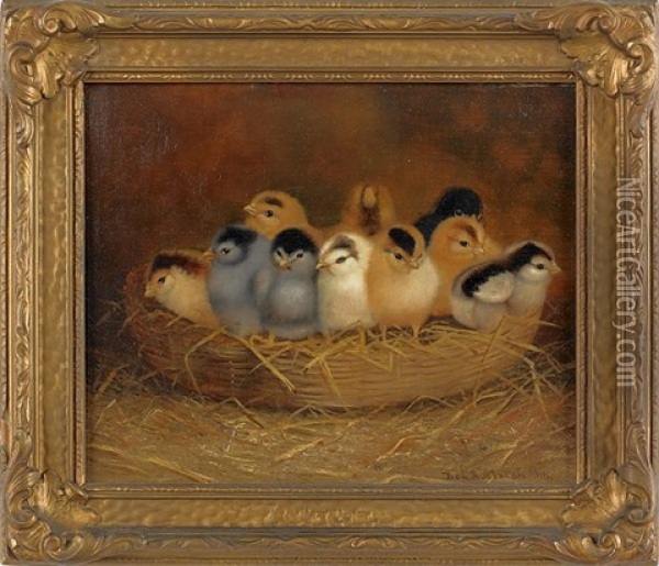 Ten Chicks In A Basket Oil Painting - Ben Austrian