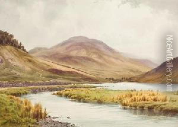 Donald Paton In The Southern Uplands Oil Painting - Edward Horace Thompson