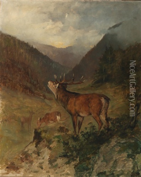 Red Deer In The Mountains Oil Painting - Georg Berger