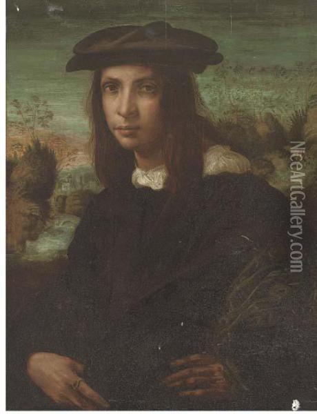Portrait Of A Young Man Oil Painting - Fiorentino Rosso