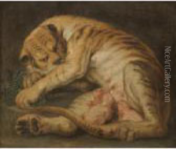 A Tigress Suckling Her Cubs Oil Painting - Peter Paul Rubens
