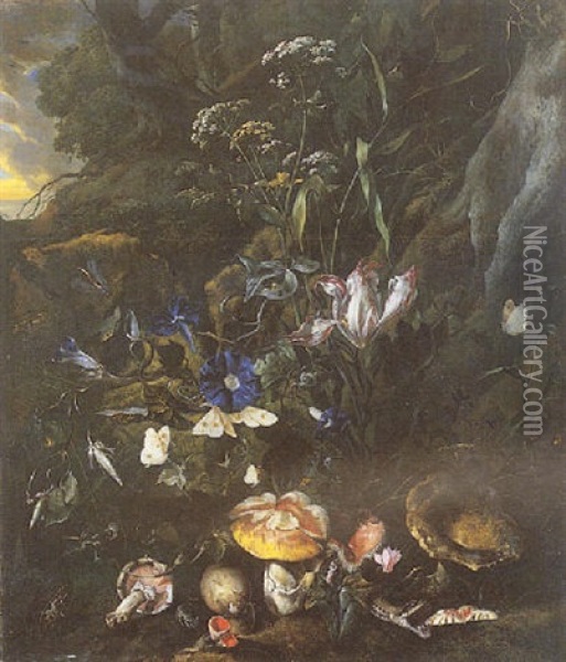 Sous-bois Oil Painting - Otto Marseus van Schrieck