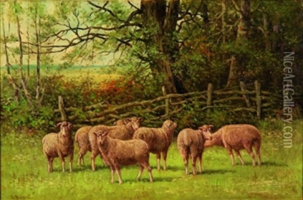Sheep And Ram In A Pasture Oil Painting - Edward Burrill