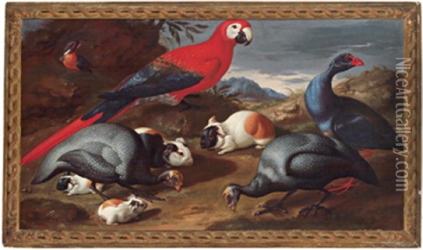 Natura Morta Con Papagallo E Uccelli Oil Painting - Jacob van der Kerckhoven