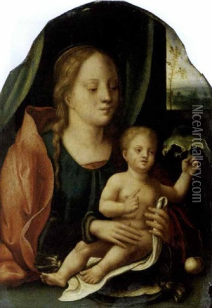 Madonna Con Bambino E Un Pappagallo Oil Painting -  Master of the Parrot