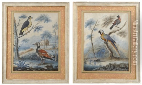 Exotic And Indigenous Birds Within A Landscape (pair) Oil Painting - William Hayes