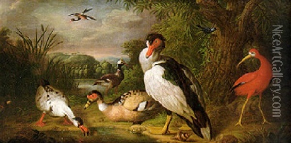 A Muscovy Duck, A Scarlet Ibis And Other Birds By A Willow In A River Landscape Oil Painting - Jakob Bogdani