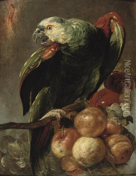 A Parrot Sitting On A Branch With Fruit Nearby Oil Painting - Frans Snyders