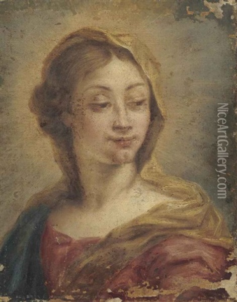 The Madonna Oil Painting - Paolo Girolamo Piola
