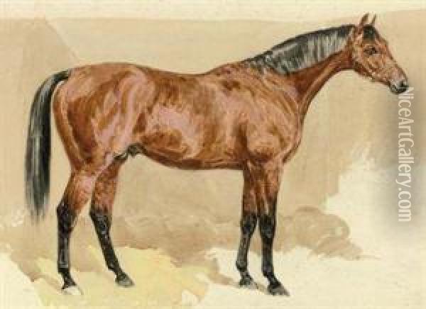 A Bay Stallion Oil Painting - Frank Paton