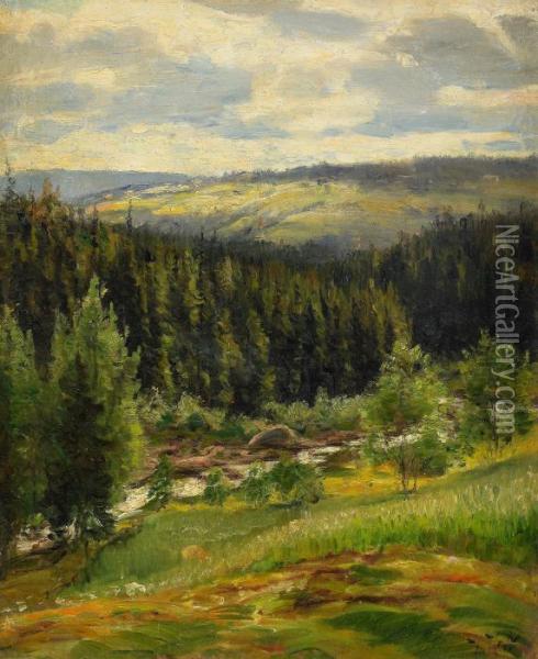 Landskapsvy - Motiv Fran Bispgarden Oil Painting - Johan Tiren