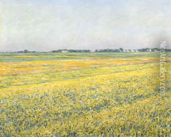 La plaine de Gennevilliers, champs jaunes Oil Painting - Gustave Caillebotte