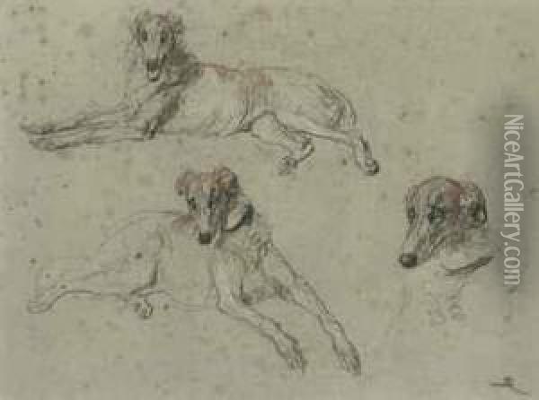 Study Of Greyhounds Oil Painting - Briton Riviere