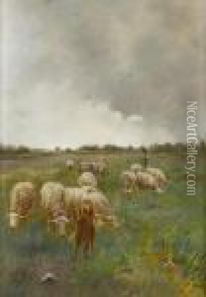 Tending Sheep Oil Painting - Anton Mauve