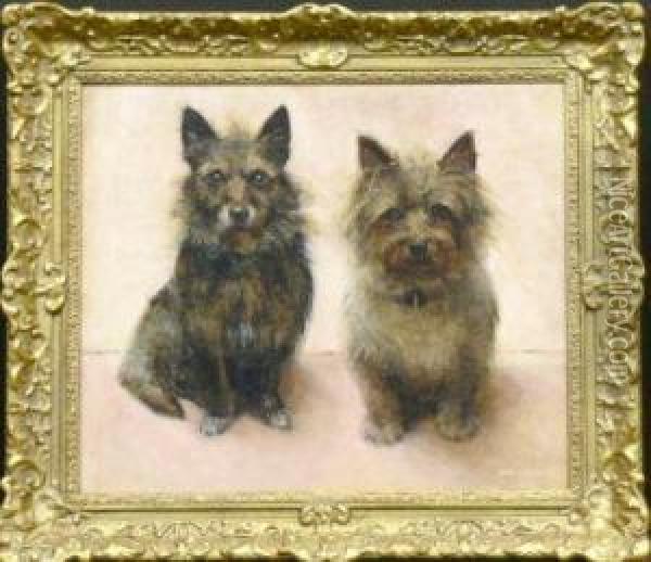 Two Cairn Terriers Oil Painting - Samuel Fulton