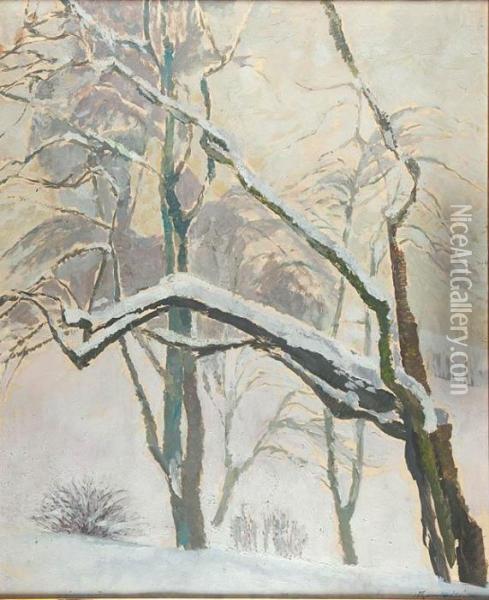 Drzewa W Sniegu Oil Painting - Stanislaw Kamocki