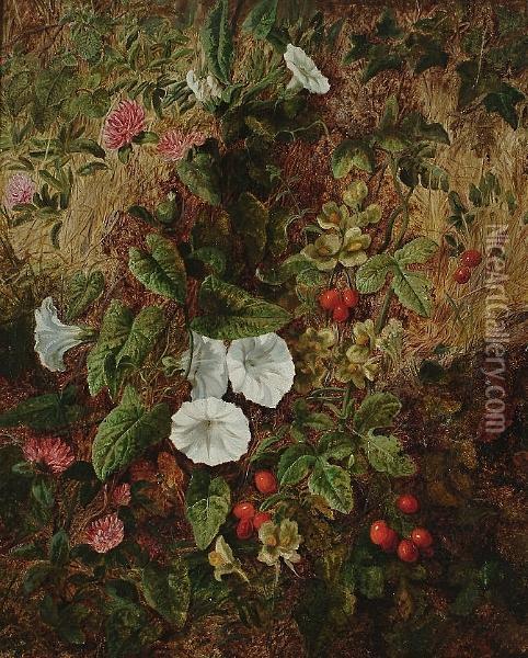 A Still Life Of Flowers On A Bank Oil Painting - Martha Darley Mutrie